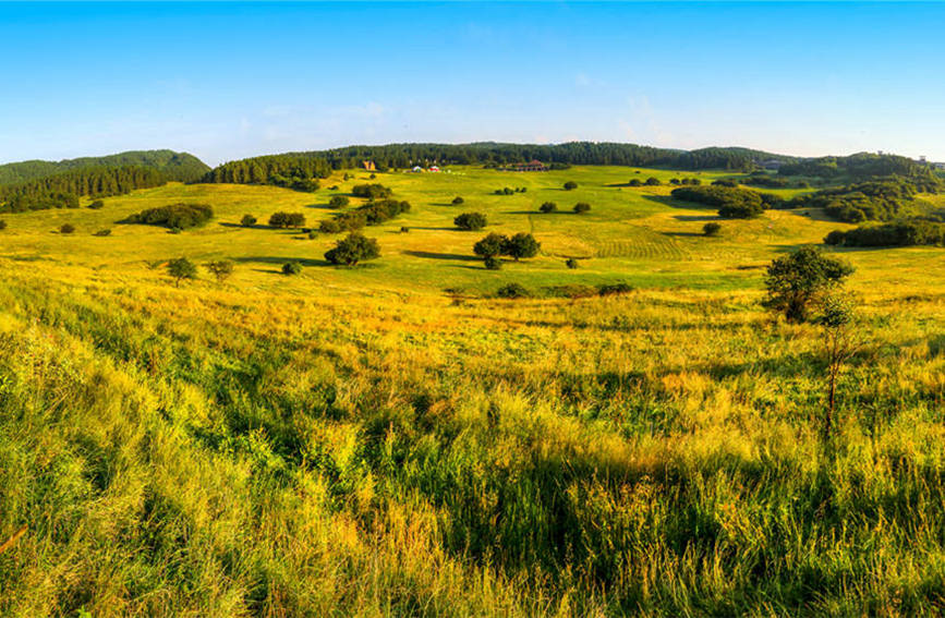 色彩斑斕的仙女山。武隆景區供圖