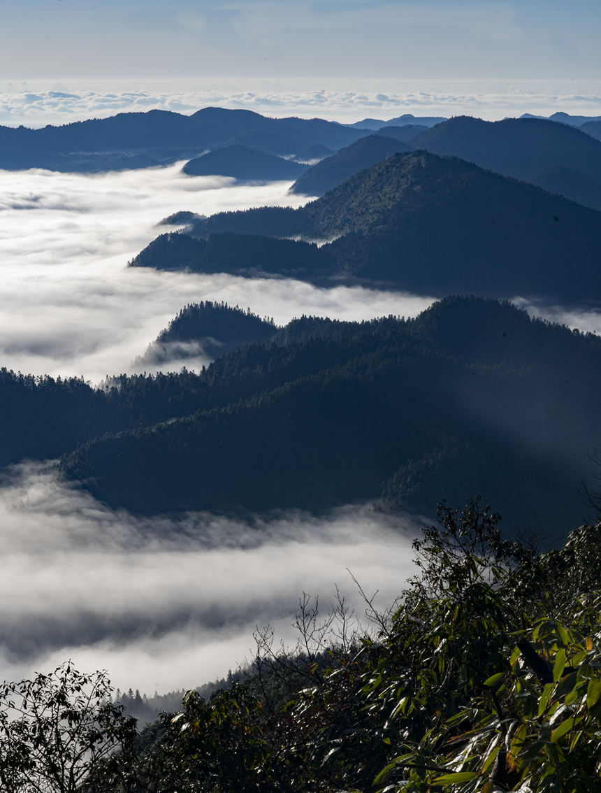 �ƺ��cɽ�X����ӳ�r���@��ɽ�箋�������A�z