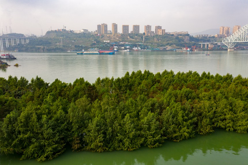 ɽɼп˹ɳ찶svz