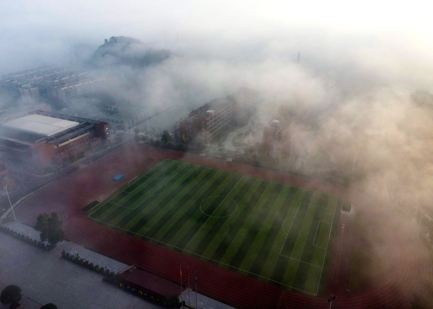 ĿигʬFһNV֮޾ӡz