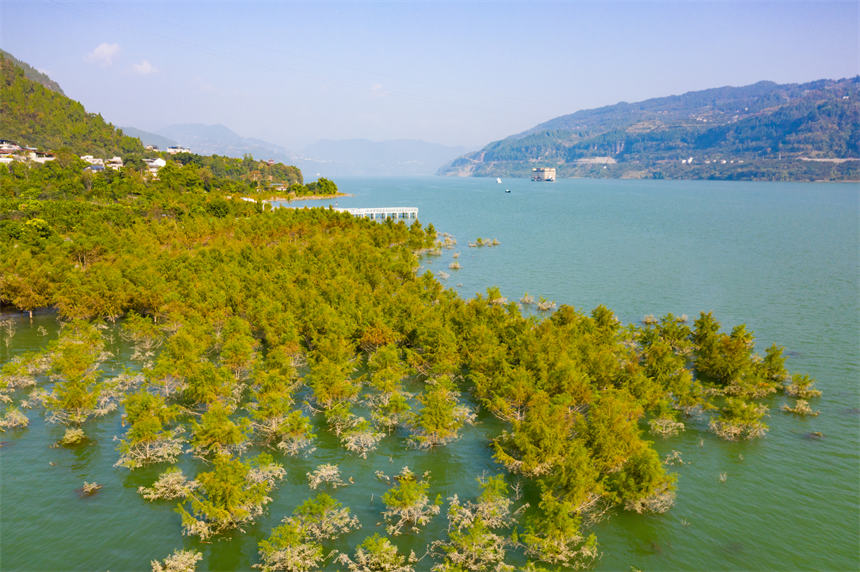 ��ɽɼ�M����һ��������ˮ��ɭ�־��^���s�v���z