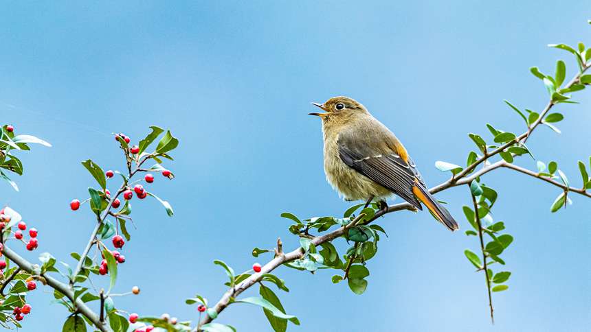 {~tβzڽɽŸ衱z