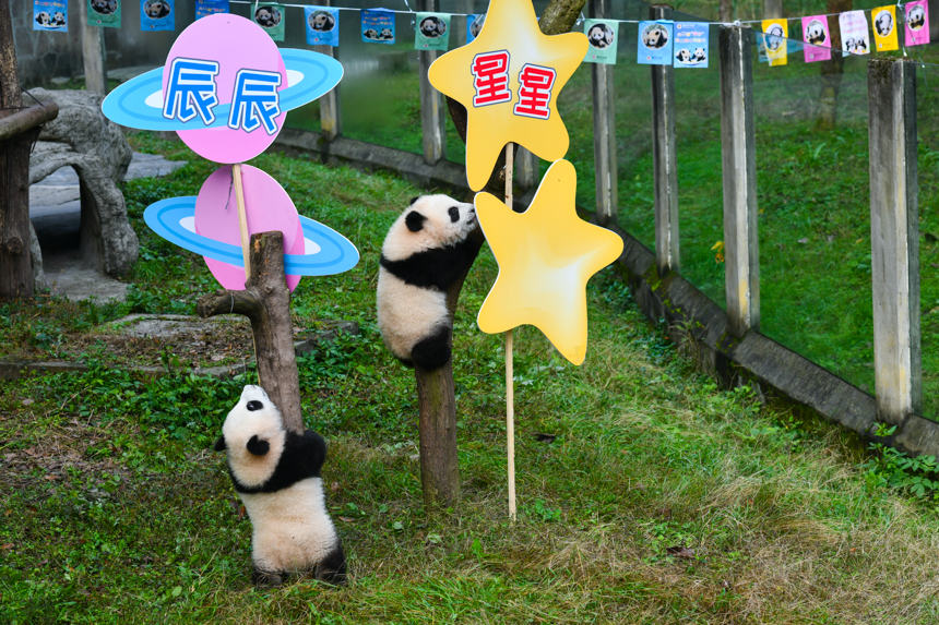 ؑcp̥؈ֵܡǡuz