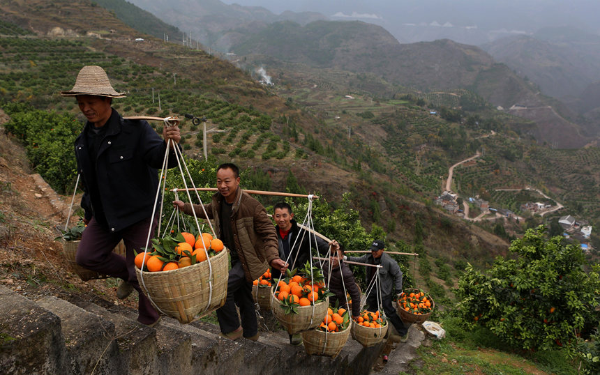 ѽɞɽ¸ġRȑcz