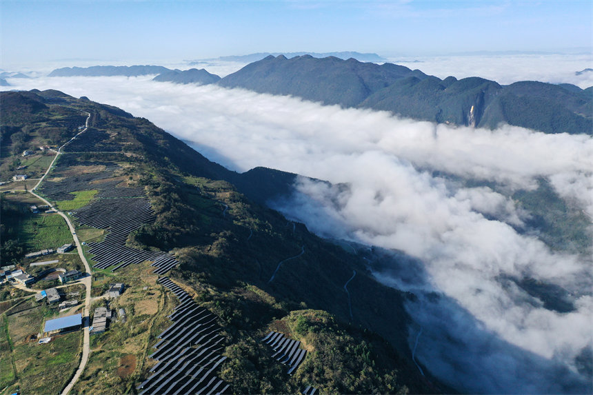 ǭ^wɽ漰4ls1|z