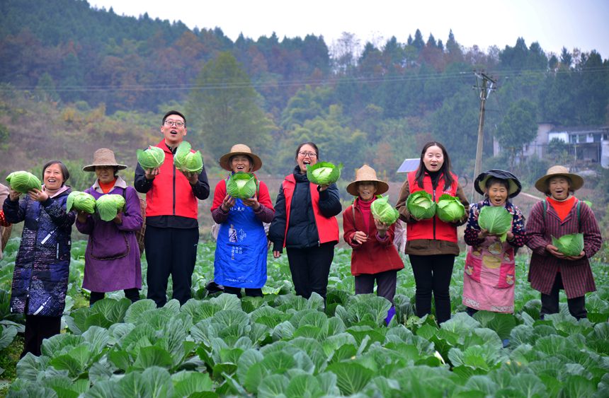 ƼɆTָNֲİײӭSSz