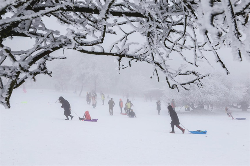仙女山景區宛如冰雪世界。武隆景區供圖
