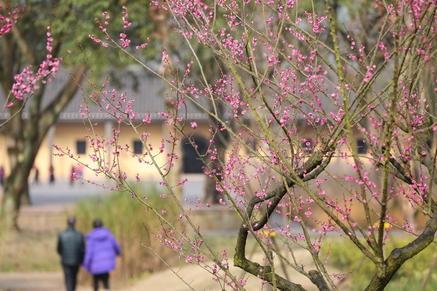 Vꖍu÷`o򴺁ؑc_^D