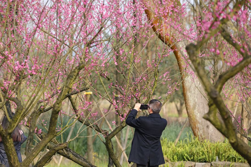 Vꖍu÷`o򴺁ؑc_^D