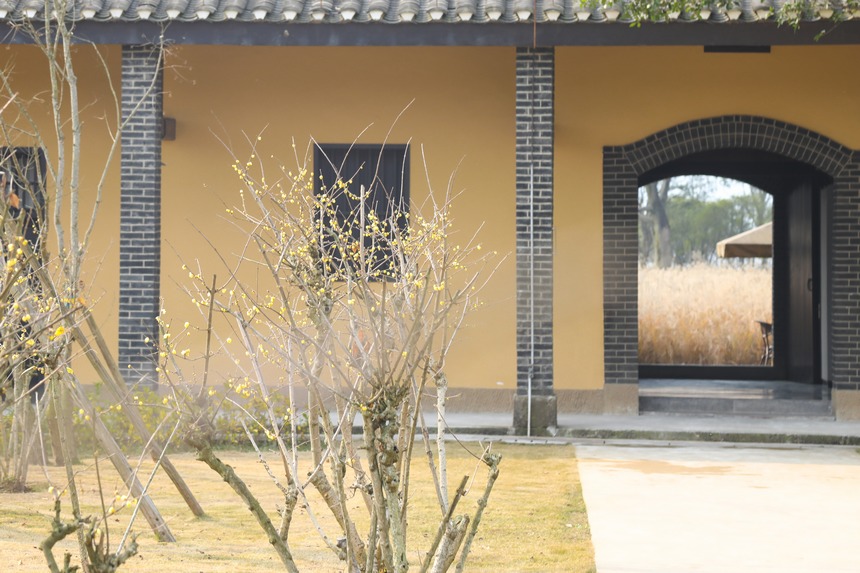 Vꖍu÷`o򴺁ؑc_^D