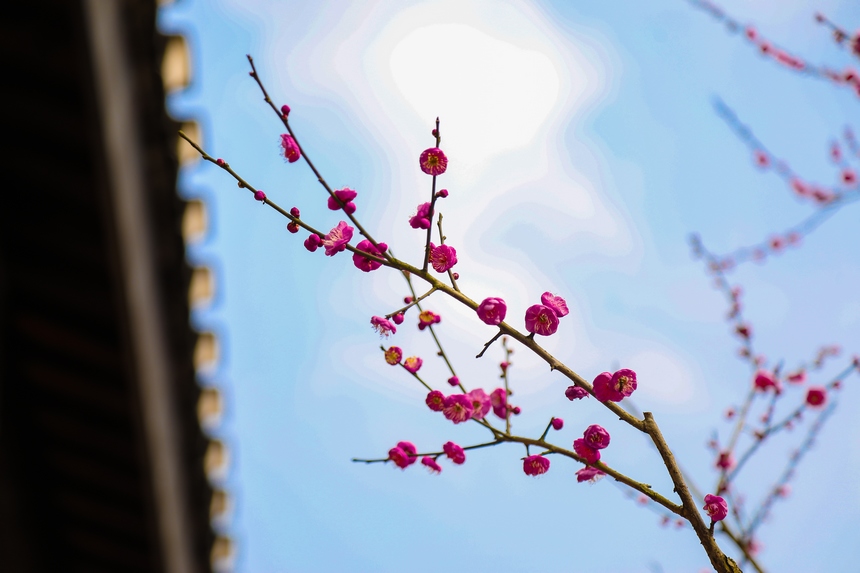 Vꖍu÷`o򴺁ؑc_^D