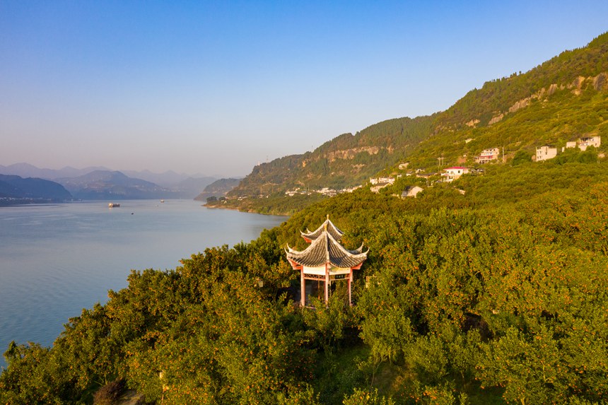 ������̎���L�����s�v���z