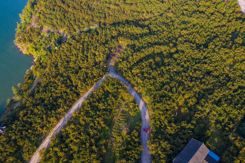 �B��������s�v���z