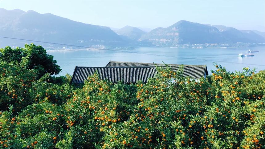 �t�ْ�M֦���s�v���z