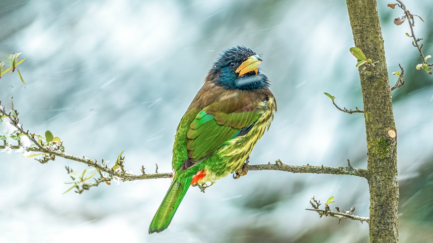 ؑcϴ^ɽƺ悏RδĔzĴMľBz