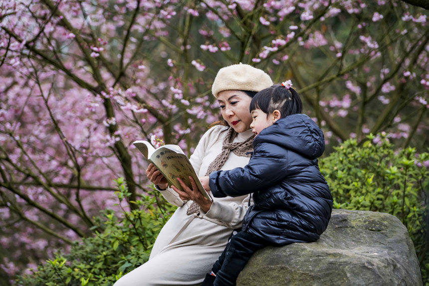 ɽֲ@ѻ`οǰ^pSMz