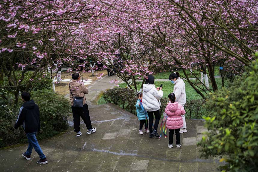 ɽֲ@ѻ`οǰ^pSMz