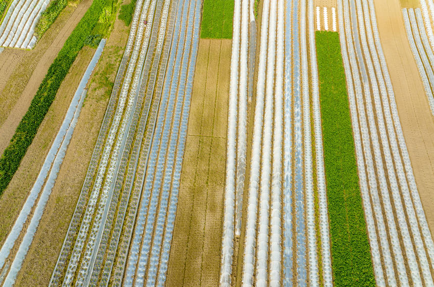 ؑcϴдץrr_չNoؔz