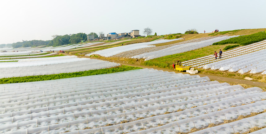 ؑcϴдץrr_չNoؔz