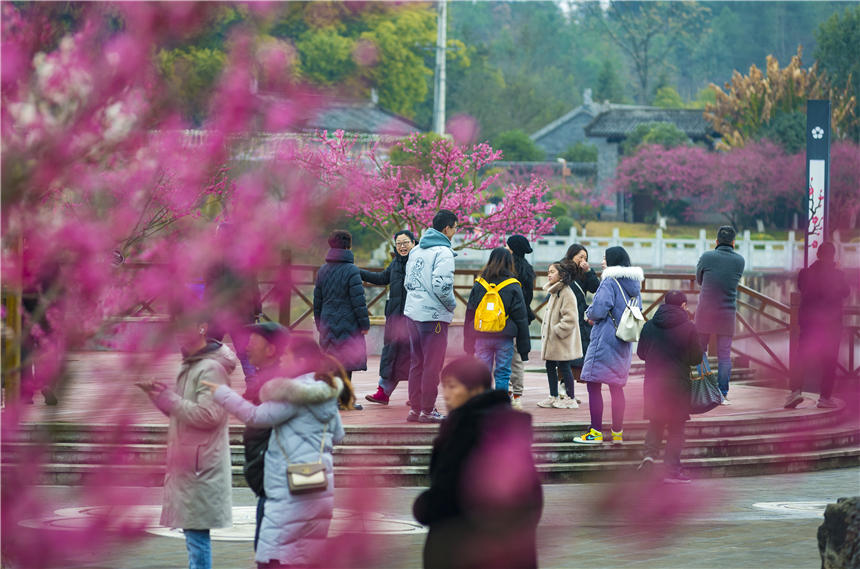 ÷@÷m`˲οĽz