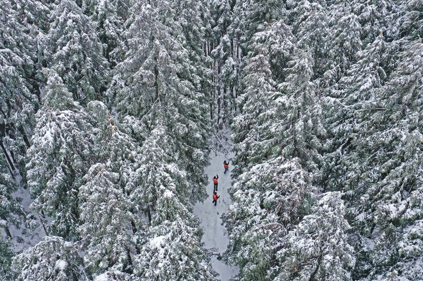 3oֆTðeѩօ^Ѳwz