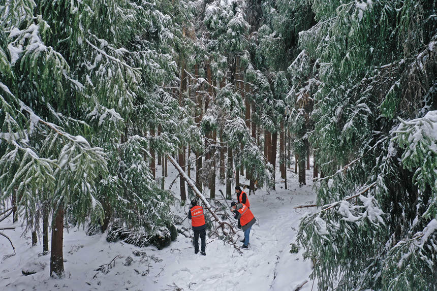 toվoֆTrϱօ^ȫwz