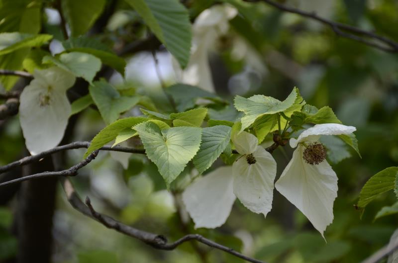 ؑclFϡlΣN·ֲN2324