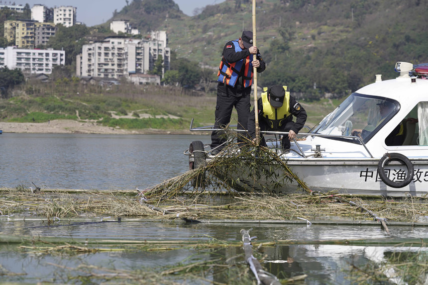 o~꠆TڬFѲ鲢Ɠp~Mмrޏ͢z