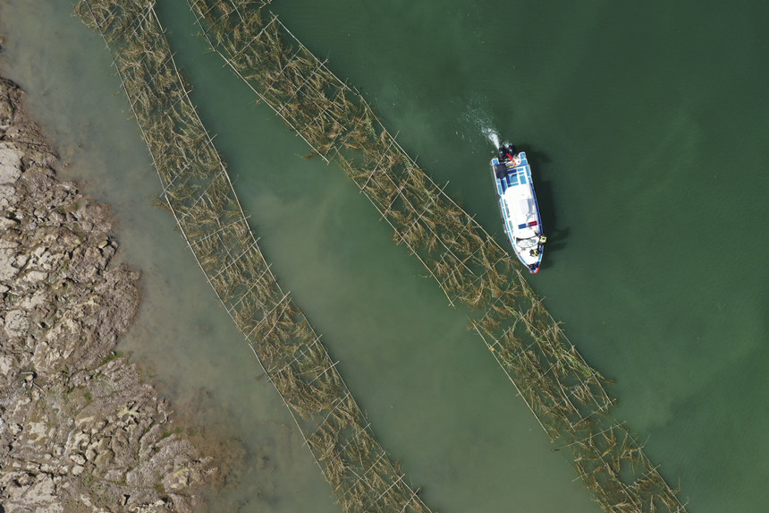 o~꠆TڬFѲ鲢Ɠp~Mмrޏ͢z