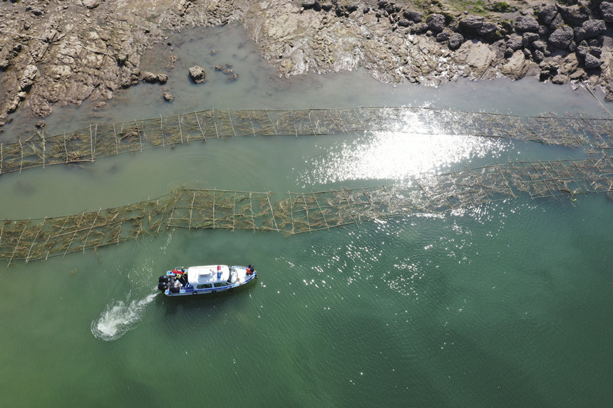 o~꠆TڬFѲ鲢Ɠp~Mмrޏ͢z