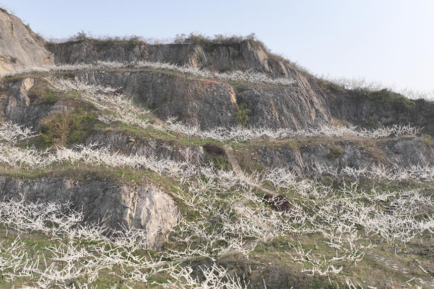 ؑcбՅ^o^A塰Vɽ@͢z