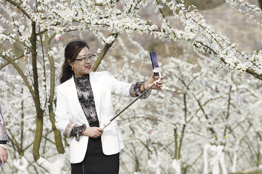 ؑcбՅ^o^A塰Vɽ@̤p͢z