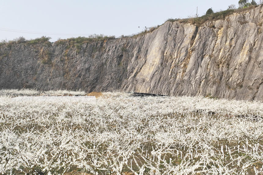 ؑcбՅ^o^A塰Vɽ@͢z