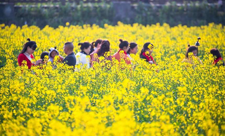 οؑcϴ^|ǽֵ^Ͳ˻pz