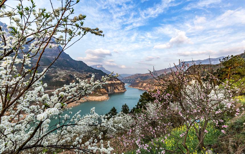 ؑcϴ^ɽԺǴɽ`ŵz