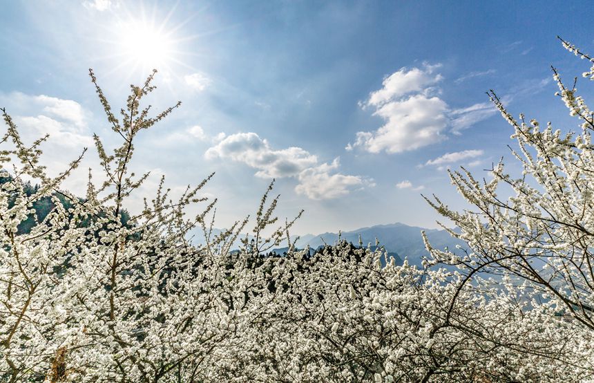 ؑcϴ^ɽԺǴɽ`ŵz