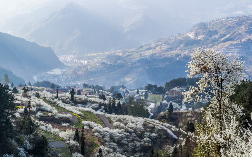 ؑcϴ^ɽԺǴɽ`ŵqzo˙Cģ