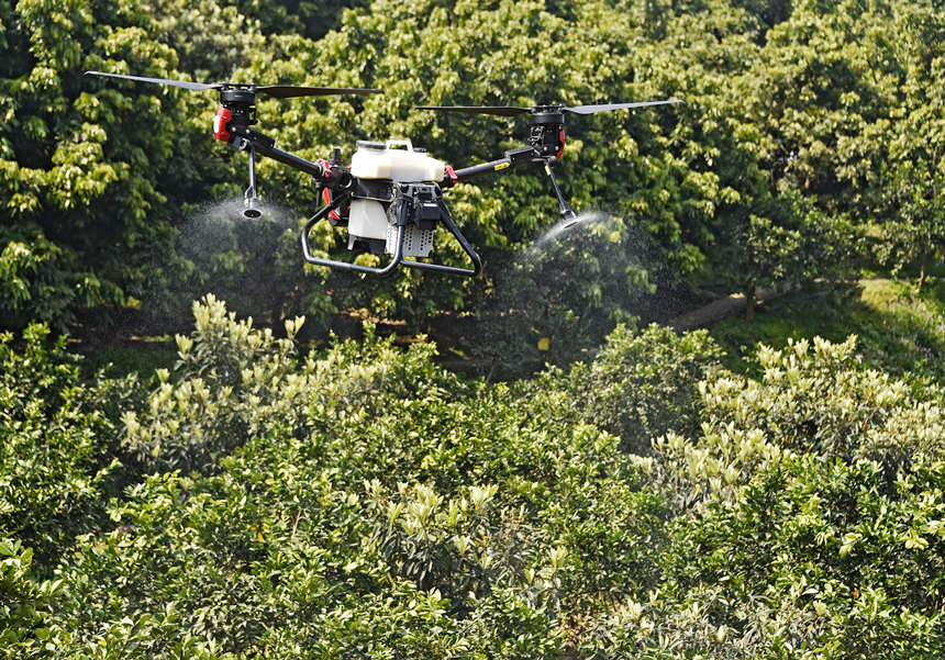 ßo˙CMй䴺SӔz