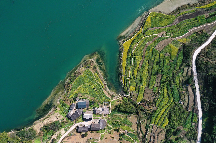 ؑcǭ^悴ƺ尢ϵLz