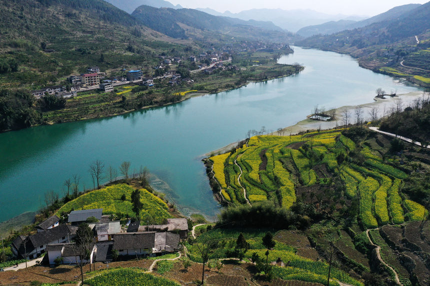 ؑcǭ^悴ƺ尢ϵLz