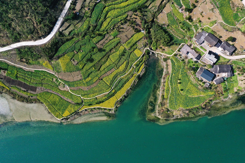 ؑcǭ^悴ƺ尢ϵLz