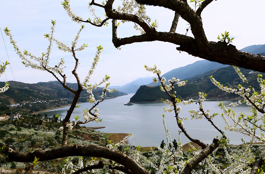 �ؑc����ɽ�h�����l�f�஀�ʢ�_���R�ȑc�z