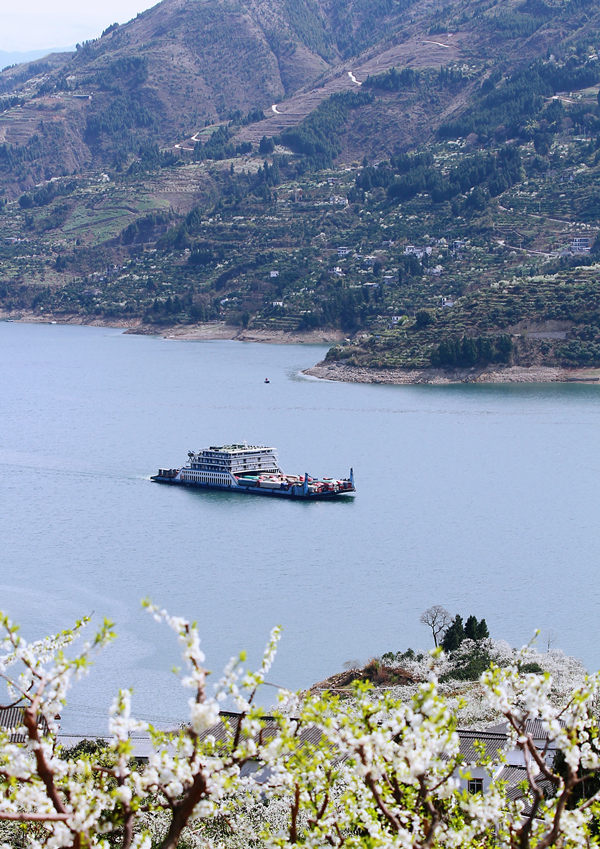 �ؑc����ɽ�h�����l�f�஀�ʢ�_���R�ȑc�z