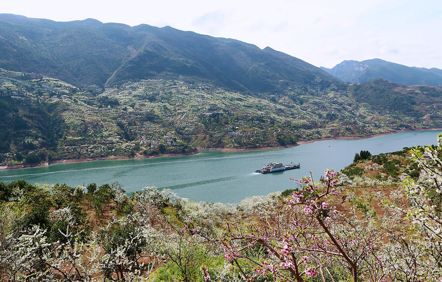 ��ɽ����ѩ��ӳ�׍{���R�ȑc�z