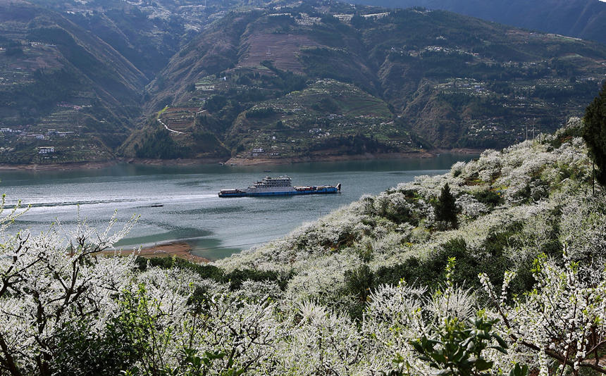 �ؑc����ɽ�h�����l�f�஀�ʢ�_���R�ȑc�z