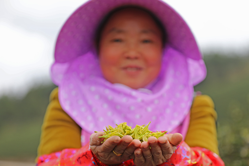 ڱ悵Ĳ@Ȳժǰͨ^ڼTڄչӼͥwz