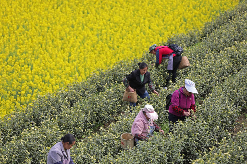 ڱ悵Ĳ@Ȳժǰwz