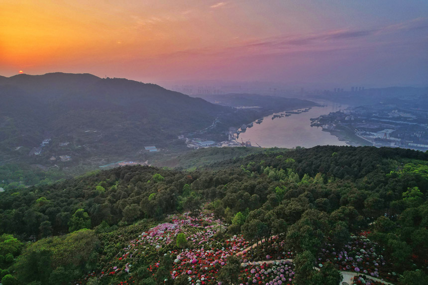 ÿ34ؑcϰ^ţдƬĶNaʢ_z