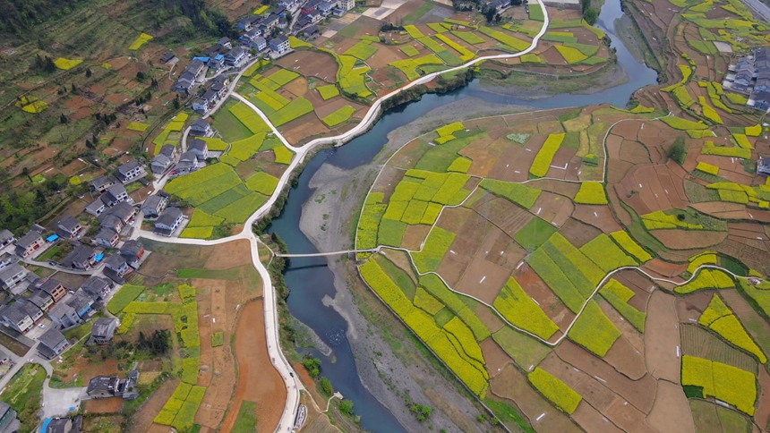 ؑcɽhϪ悵lL̔z