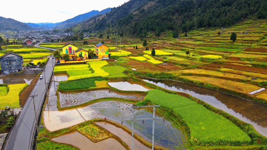 ؑcɽhϪ悵lL̔z